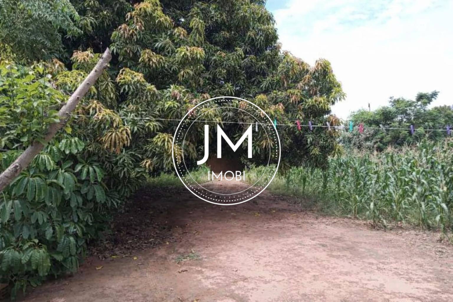 Sala-Conjunto, 1300 m² - Foto 3